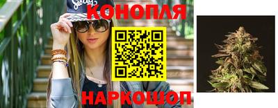 индика Белореченск