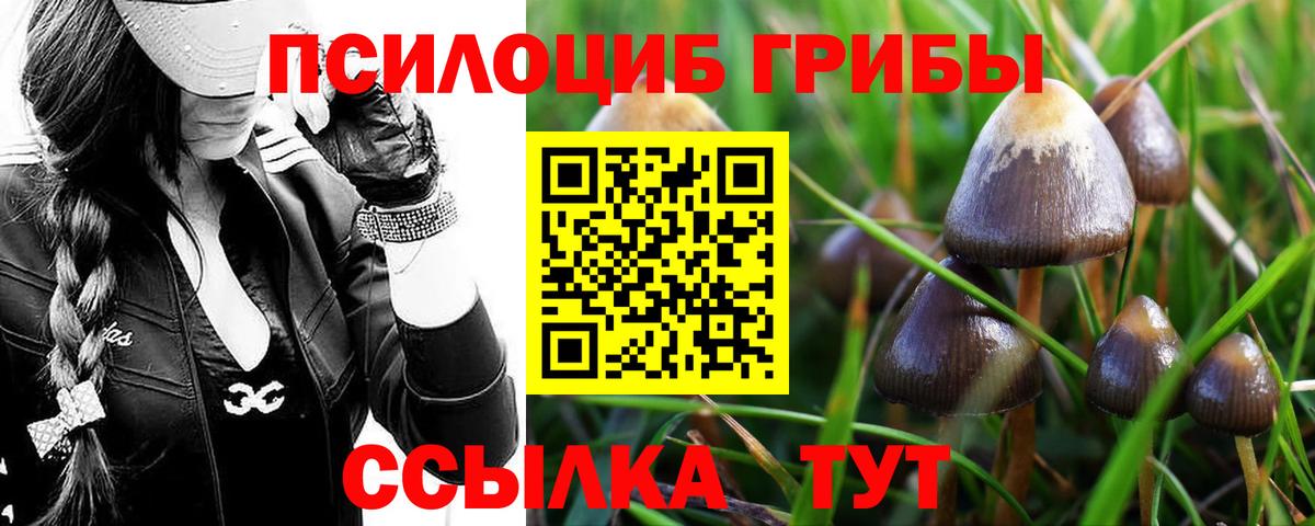Галлюциногенные грибы GOLDEN TEACHER Ковров