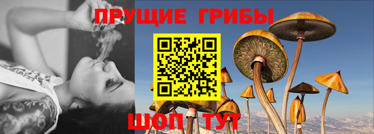 Галлюциногенные грибы мухоморы  Галлюциногенные грибы прущие грибы  цена наркотик  Ковров  Вход с VPN 